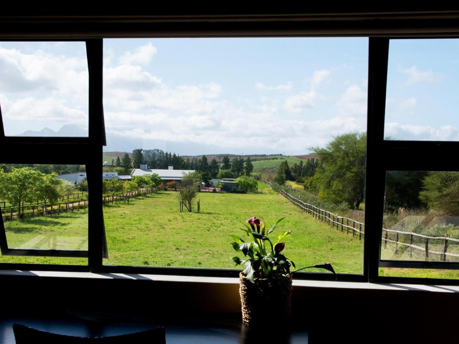Galloway Guest House Robertson Zimmer foto