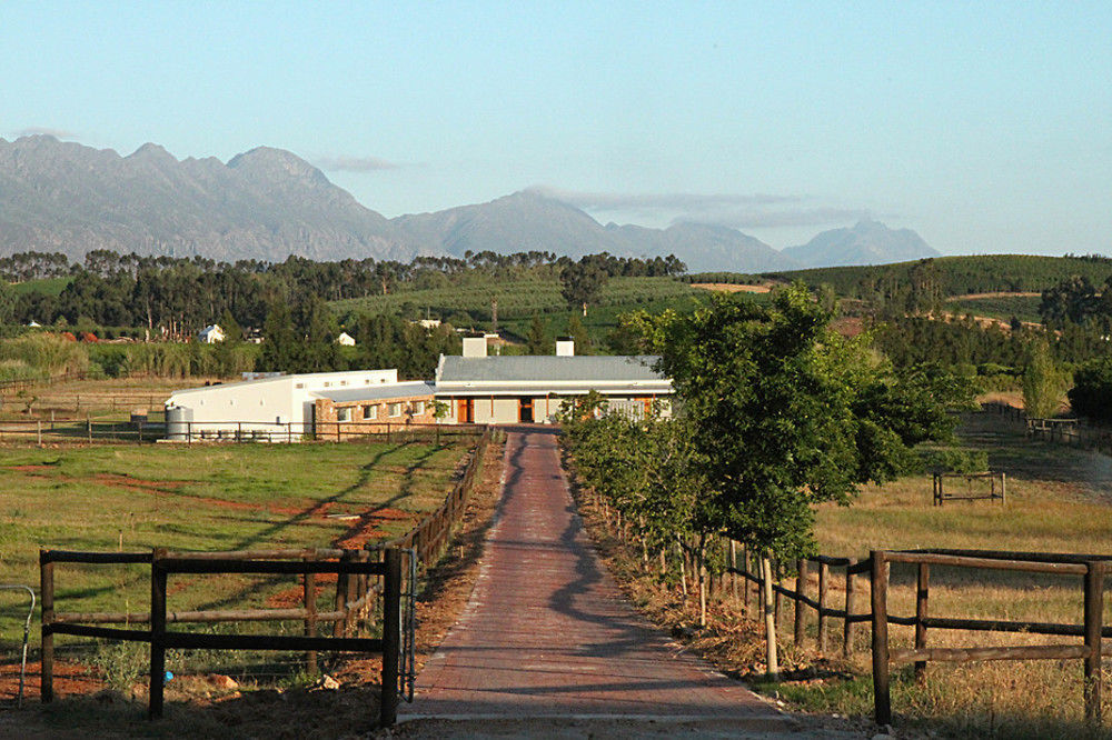 Galloway Guest House Robertson Exterior foto
